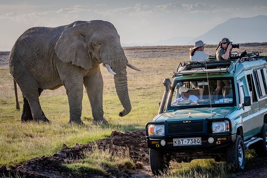 Petualangan di Afrika Safari Terbaik di Kenya dan Tanzania